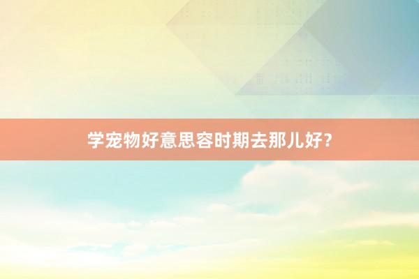 学宠物好意思容时期去那儿好？