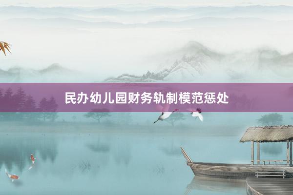 民办幼儿园财务轨制模范惩处